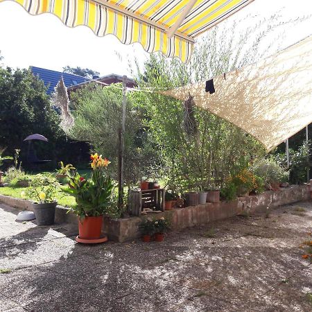 Ferienwohnung Lerchennest Georgensgmund 외부 사진
