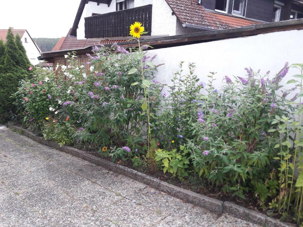 Ferienwohnung Lerchennest Georgensgmund 외부 사진